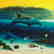 "Warm Tropical Waters" Limited Edition Giclee on Canvas - 2