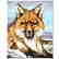 "Fantastic Fox" Limited Edition Giclee on Canvas by