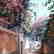Rocio Nell, "Midday at Water Alley" Limited Edition - 2
