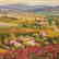 S. Sam Park - "Tuscany Red Poppies" Hand Embellished - 2