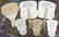 GROUP OF 6 VINTAGE PENNSYLVANIA ADVERTISING - 3