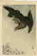 Koson Ohara Woodblock Eagle Flying in Snow Storm