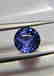 Blue Sapphire No Heat Certified - 1.18 ct