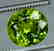 6.35 cts Top Grade Natural Olivine Green Natural - 2