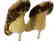 Manolo Blahnik Nesta Fur Ankle Boot Camel Leopard Suede - 4