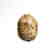 Egyptian White Steatite Scarab with Royal Cartouche of