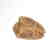 Near Eastern Sumerian White Steatite Frog Amulet, c. - 7