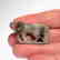 Roman Silver Plated Fibula Brooch in the Form of a - 3