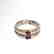 Roman Double Silver Ring with Garnets, c. 3rd Century - 3
