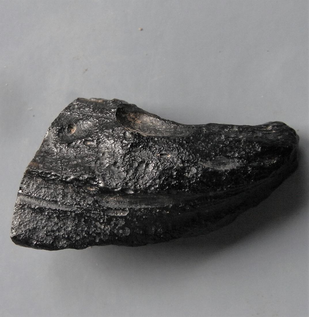 THAILANDITE TEKTITE FROM METEORITE IMPACT: Title: THAILANDITE TEKTITE FROM METEORITE IMPACT Origin: Noen Sa-nga, Chaiyaphum Province, Thailand Size: 3x1.5x1 cm / 5 gram strangely twisted thailandite tektite with ridges and grooves Reserve: $6