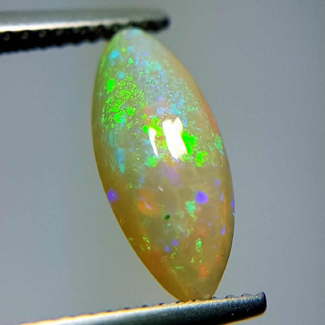 1.80 ct Fantastic Fire Marquise Cabochon Natural Opal (1 of 8)