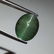 14.10 ct Alexandrite Color Natural Apatite Cat's Eye