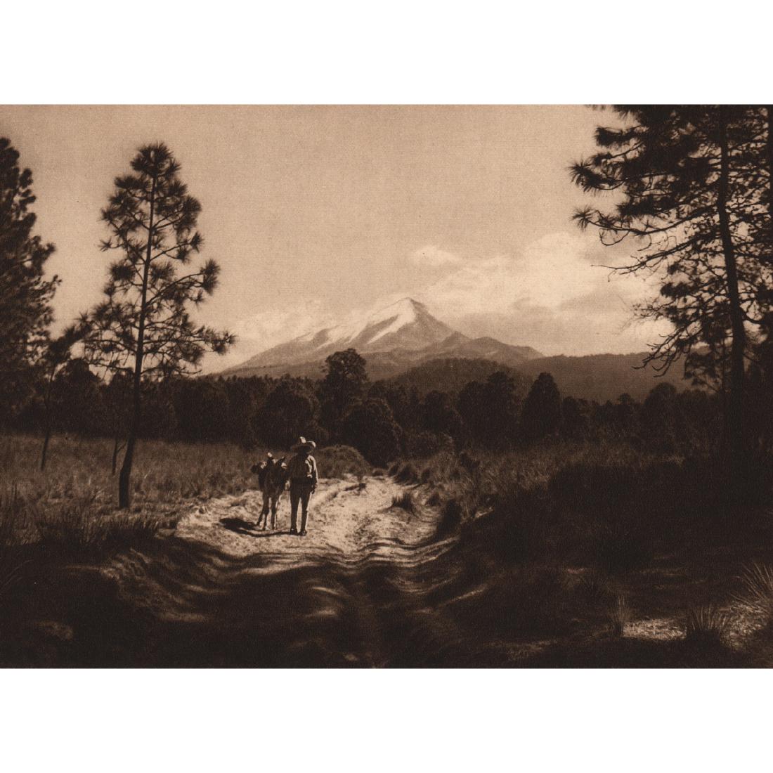 HUGO BREHME - Road to the Peak of Orizaba: Artist: HUGO BREHME Print Title: Road to the Peak of Orizaba Medium: Sheet-fed Gravure Printing Date: 1920's Printed in Germany Image size approx. 8.25 x 6 inches Hugo Brehme (1882-1954) was born in G