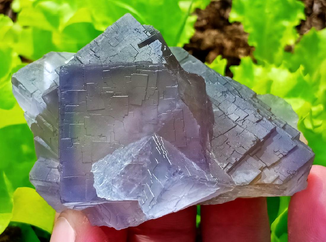 126 Gram Gorgeous Fluorite Specimen (1 of 3)