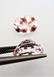 Morganite Pair - 5.00 ct - 2