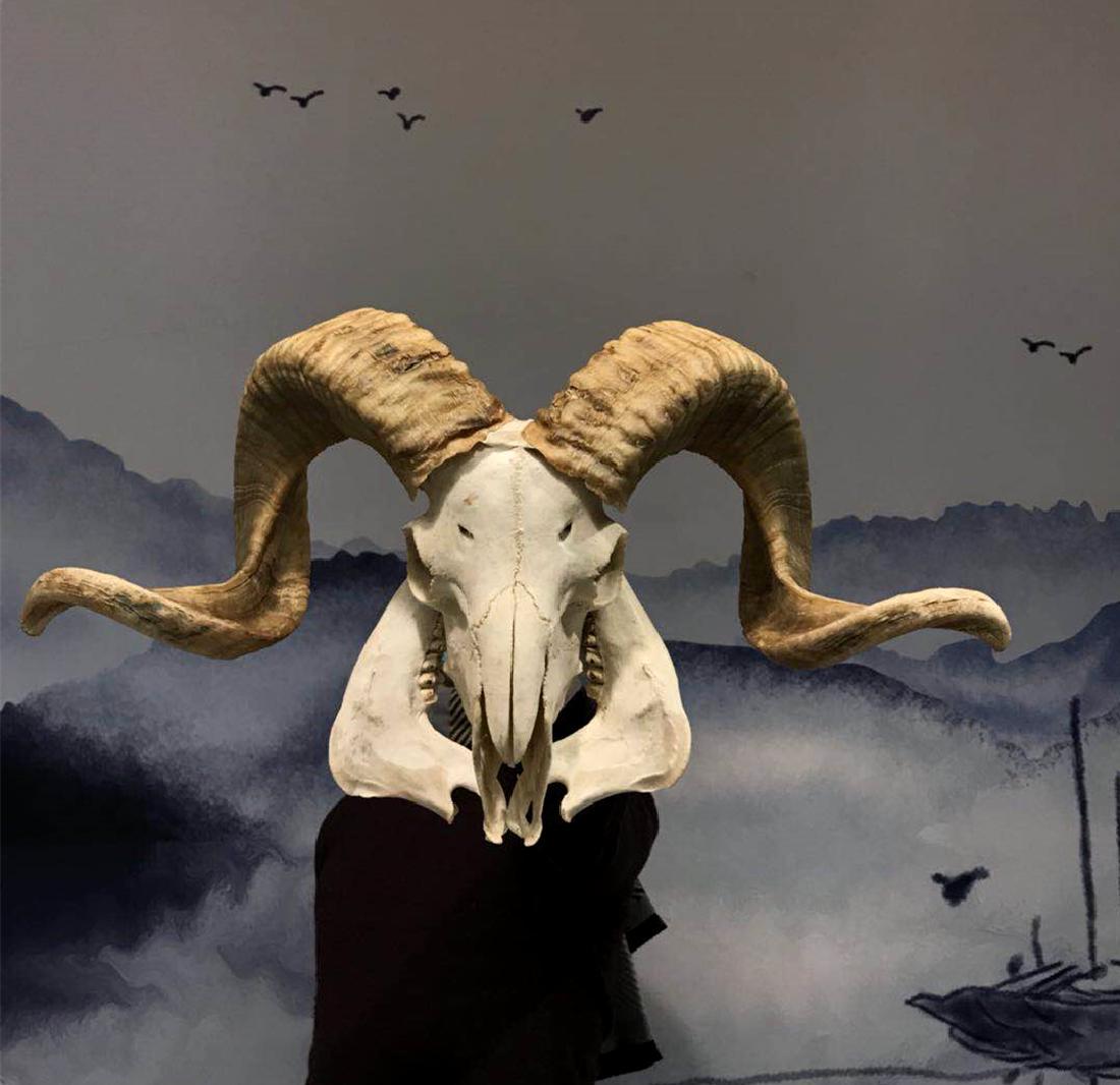 dark sheep head art dread dark sheep head art dread