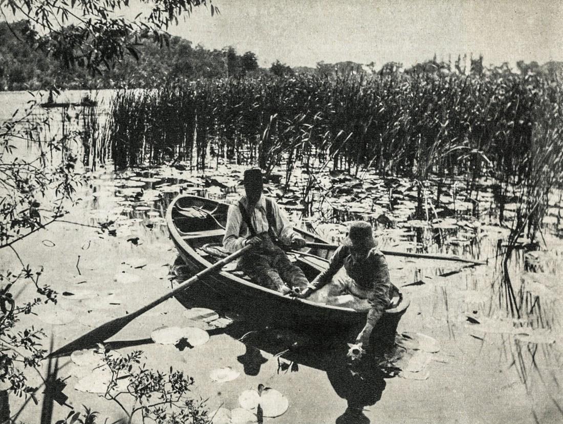 PETER HENRY EMERSON - Gathering Water Lilies: Artist: Emerson, Peter Henry Title: Gathering Water Lilies Medium: Sheet Fed Gravure, 1964, Netherlands Dimensions: 6.4x4.8" Heat Wax Mounted on 8.5x11" Conservation Board Peter Henry Emerson (1856 Â