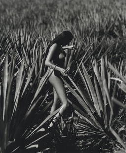 GEORGE HOLZ - Woman, Garden of Agave, Tequila, Mexico: Artist: Holz, George Title: Woman, Garden of Agave, Tequila, Mexico, 1996 Medium: Photo Litho, 1999, Singapore Dimensions: 4.6x5.6" Heat Wax Mounted on 8.5x11" Conservation Board Reserve: $35.00 Shipp