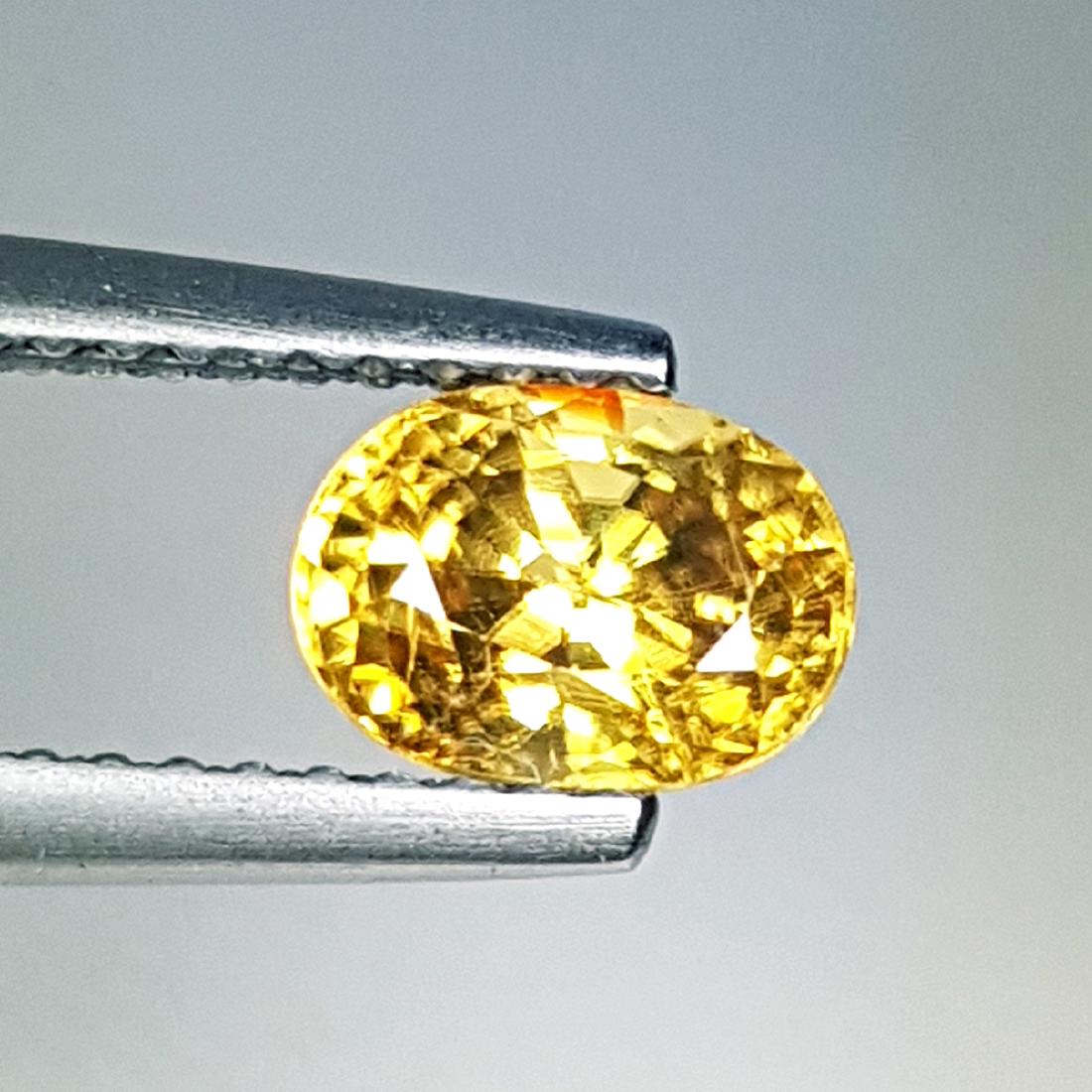 1.62 ct Collective Gem Oval Cut Natural Zircon: No Reserve! Item: 1.62 ct Collective Gem Oval Cut Natural Zircon Color/Clarity: VVS Loose gemstone Carat Weight: 1.62 Size (mm): 6.81 x 4.98 x 4.62 Oval - Cambodia Shipping: Worldwide: Flat-rate of $1