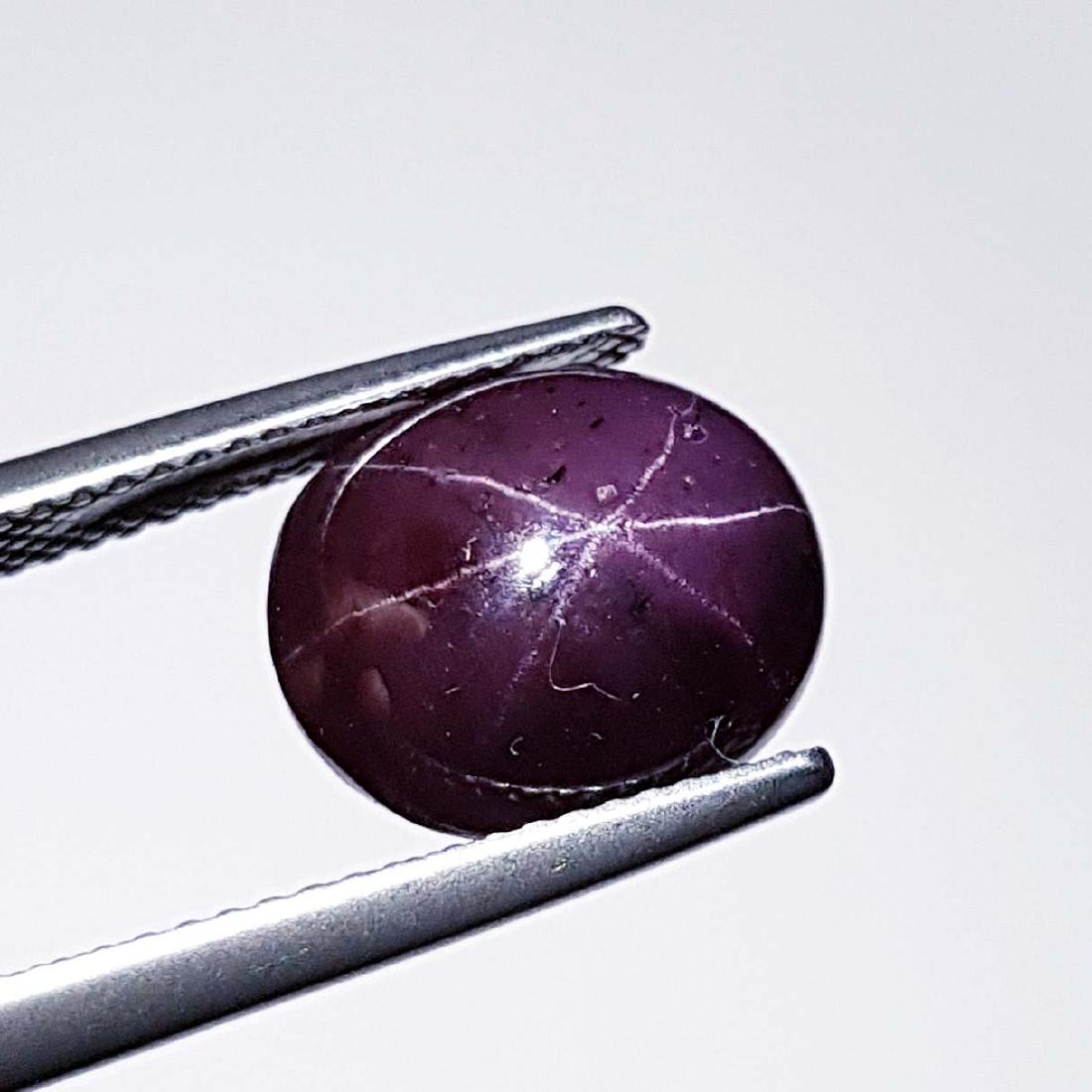 Lovely Gem Four Ray Natural Star Garnet - 9.78 ct (1 of 4)