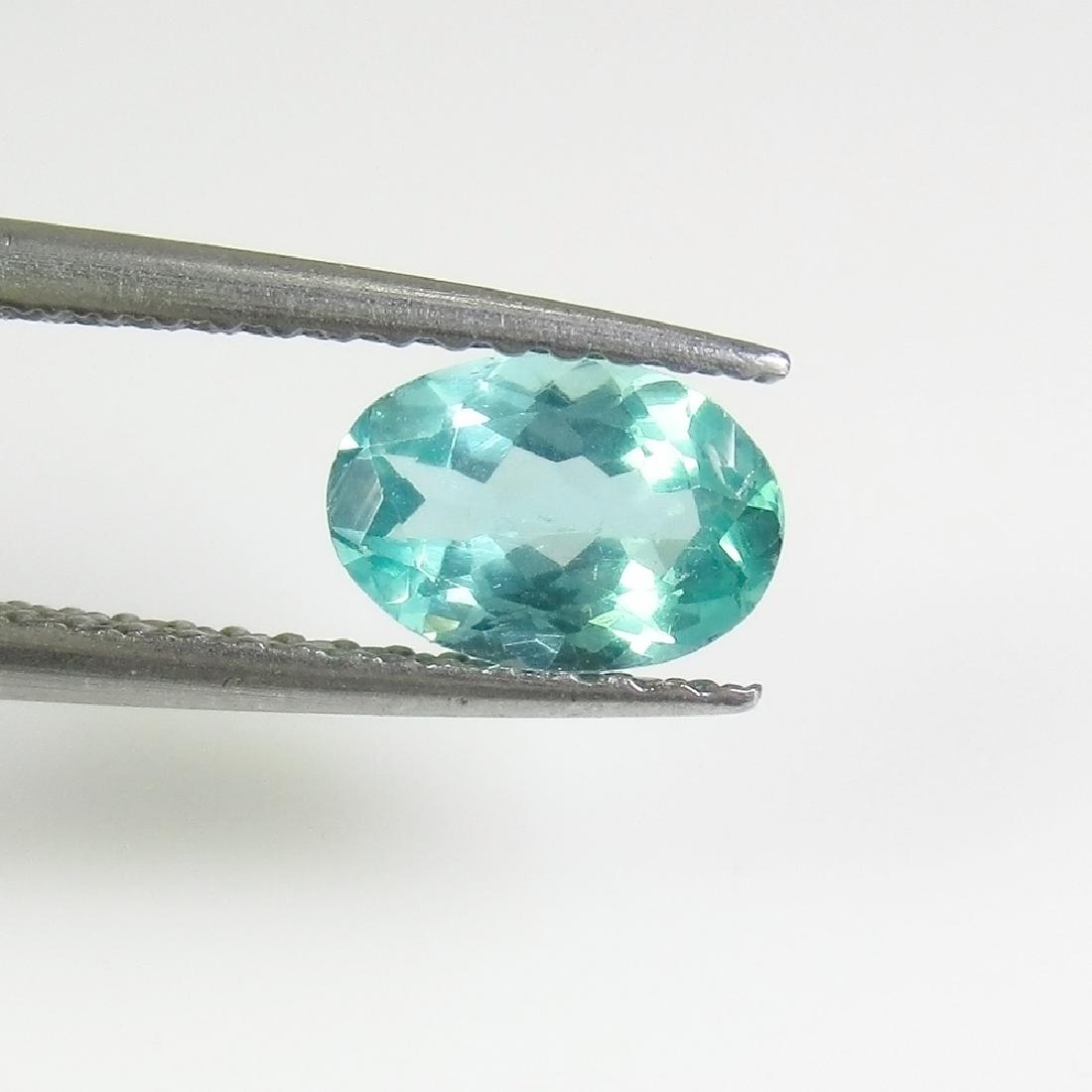 0.75 Ct Genuine Green Apatite 7X5 mm Oval Cut (1 of 2)