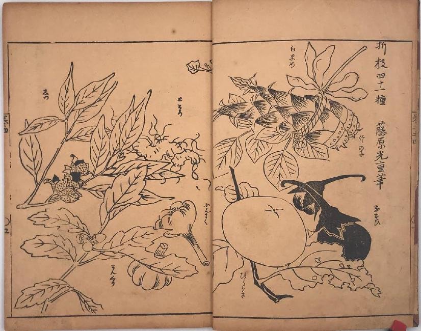 Japanese woodblock printed book with 19 illustrations.: Title: Japanese woodblock printed book with 19 illustrations. Origin: Japan Date: Edo period Materials: Dimensions: 248 x 171 mm Reserve: $10.00 Shipping: Domestic: Flat-rate of $15.00 to anywhere wit