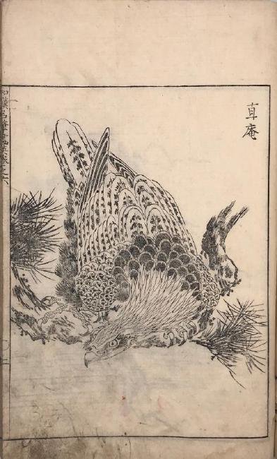 Japanese woodblock printed book with 15 illustrations.: Title: Japanese woodblock printed book with 15 illustrations. Origin: Japan Date: Edo period Materials: Dimensions: 276 x 180 mm Reserve: $10.00 Shipping: Domestic: Flat-rate of $15.00 to anywhere wit