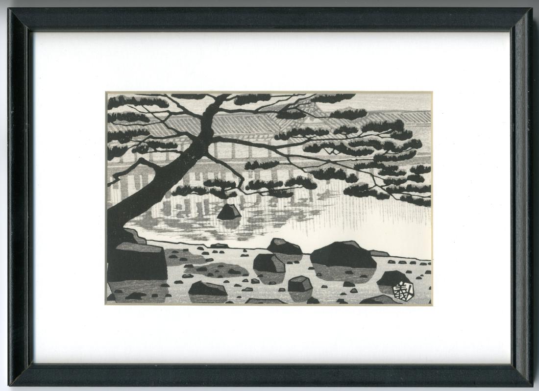 PINE TREE IN JAPANESE GARDEN (1 of 2)