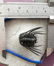 Beautiful Leonaspis sp. Fossil Trilobite. Flying - 10