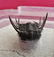 Beautiful Leonaspis sp. Fossil Trilobite. Flying - 5