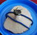 Freestanding All Natural Cyphaspis sp. Fossil - 11