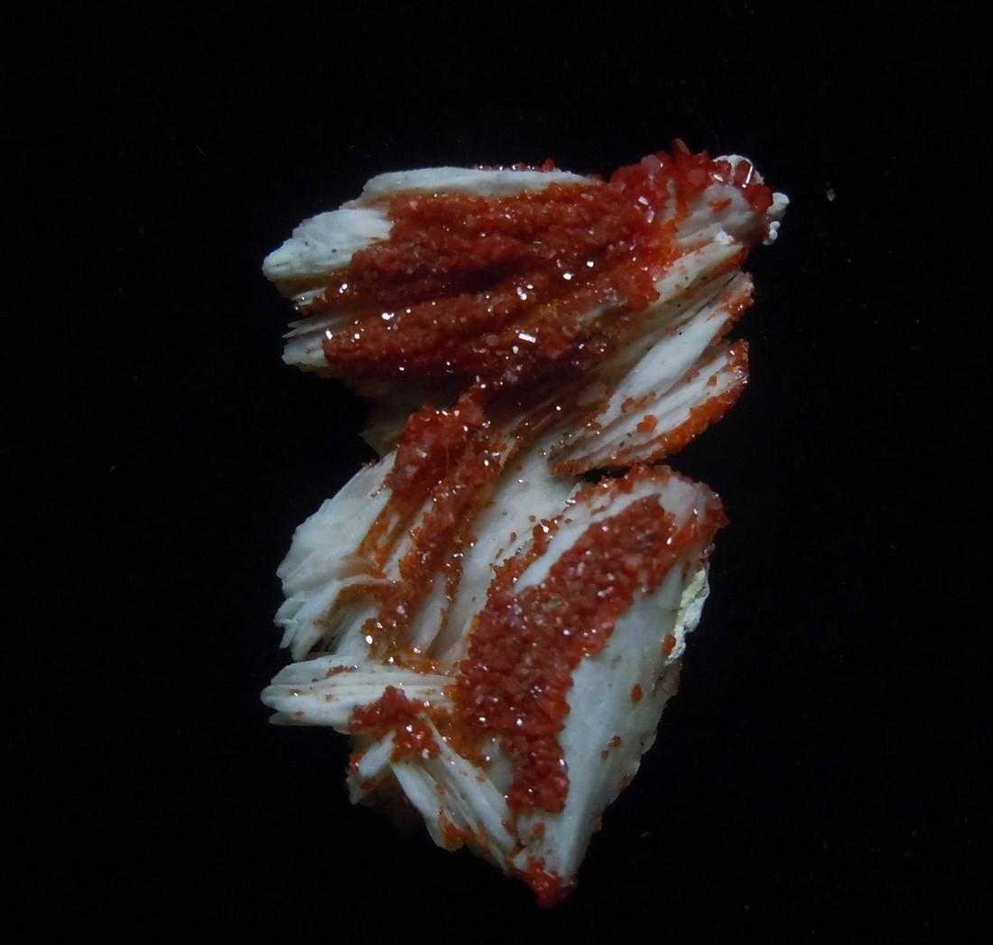 RED VANADINITE ON WHITE BARYTE (1 of 9)