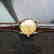 ROLEX Men's 14K Gold Oyster Perpetual 1011 Bombay - 6