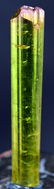 Terminated And Undamaged bi-color tourmaline Gem Grade - 3