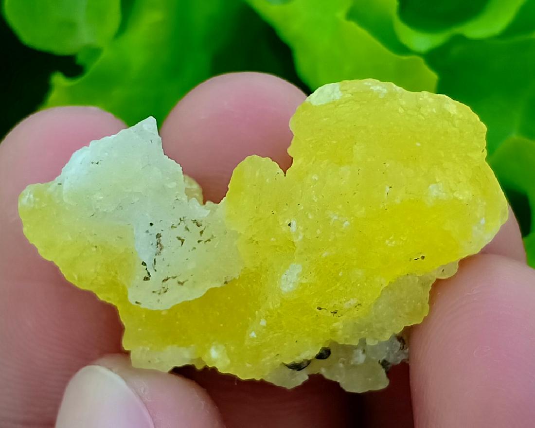 8 Gram Yellow Color BruciteSpecimen (1 of 4)