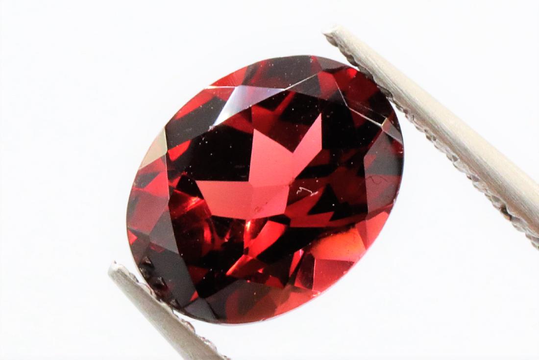 Top Quality Garnet (1 of 2)