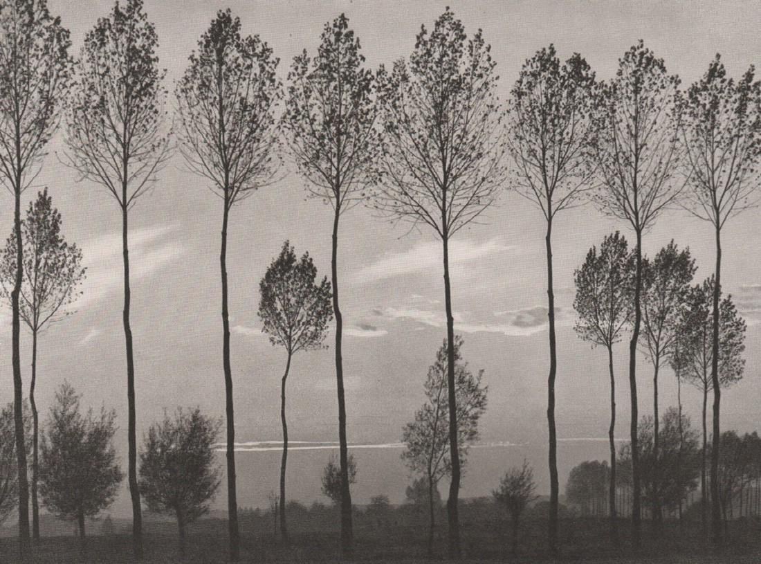 GERHARD KERFF-  Niederrheinische Landschaft (1 of 1)