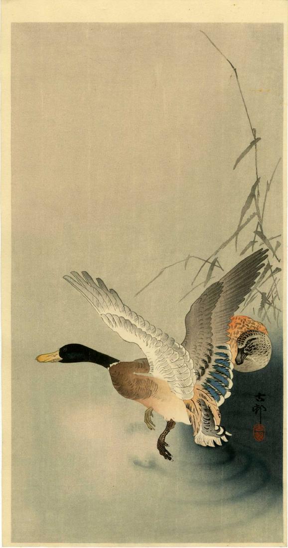 Koson Ohara Woodblock Mallard Ducks (1 of 2)