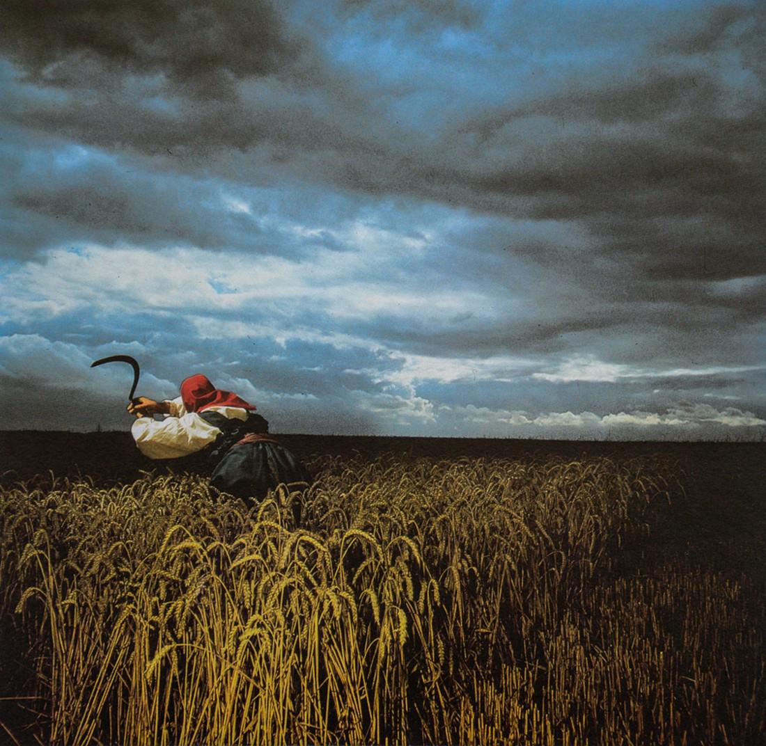 BRIAN GRIFFIN - Work in the Field (1 of 1)