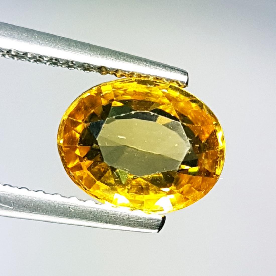 2.65 ct Excellent Gem Natural Golden Zircon: No Reserve! Item: 2.65 ct Excellent Gem Natural Golden Zircon Color/Clarity: VVS Loose gemstone Carat Weight: 2.65 Size/Dimensions: 8.80 x 7.03 x 3.92 Oval - Cambodia Shipping: Domestic: Flat-rate of 