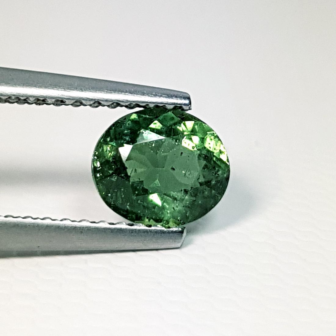 Fantastic Oval Cut Natural Apatite - 0.95 ct (1 of 4)