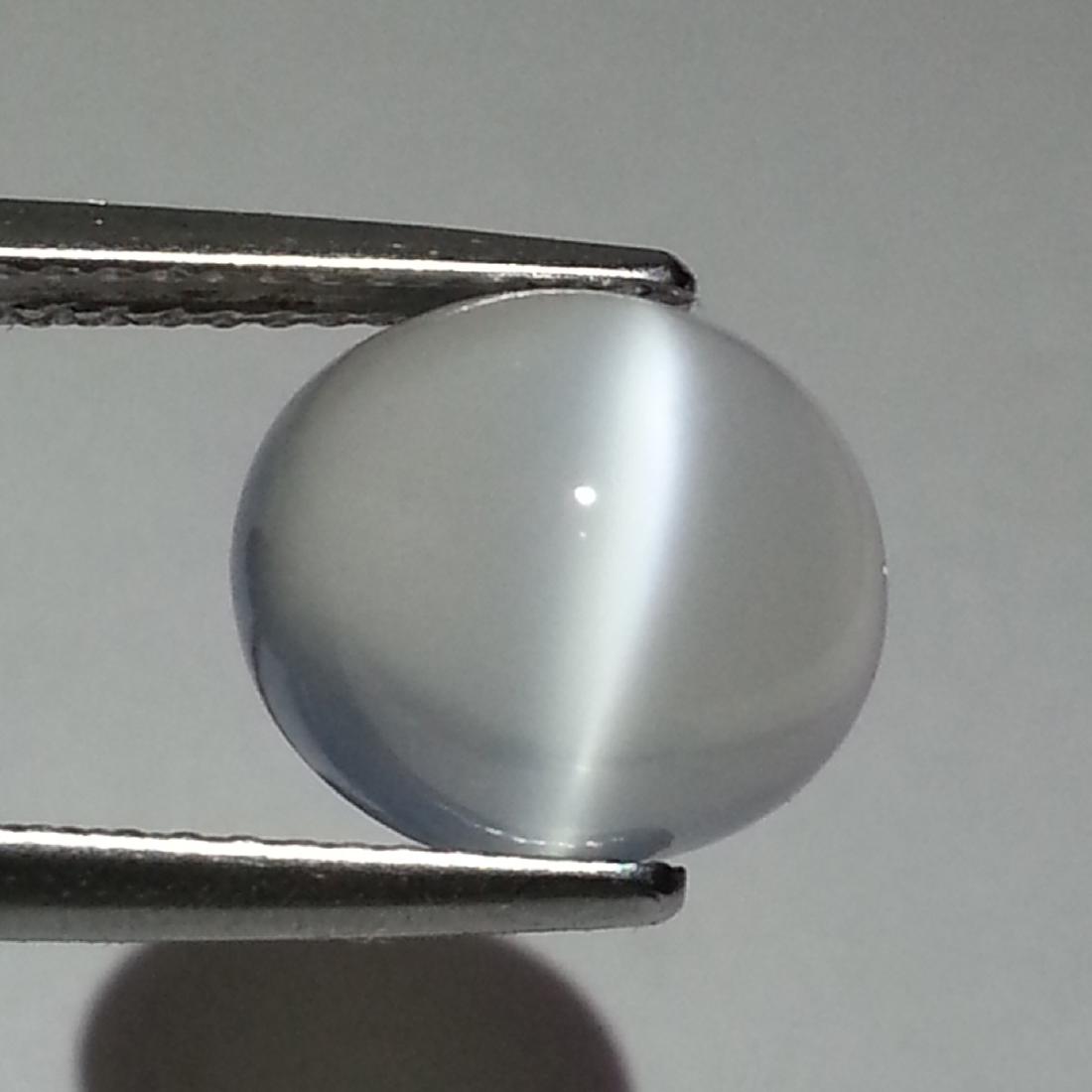 Natural Moonstone Cat's Eye - 5.24 ct: No Reserve! Item: Natural Moonstone Cat's Eye - 5.24 ct Color/Clarity: IF - VVS Loose gemstone Carat Weight: 5.24 Size/Dimensions: 11.20 x 9.80 x 7.90 Oval - Srilanka Shipping: Domestic: Flat-rate of 