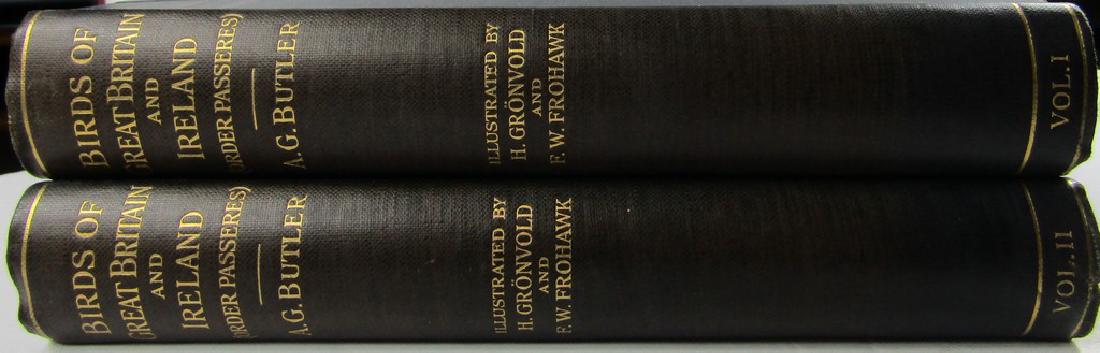 BIRDS OF GREAT BRITAIN AND IRELAND Order Passeres (1 of 10)