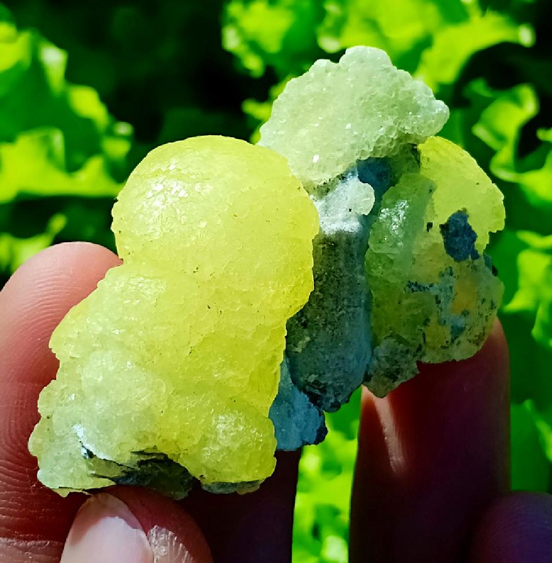 24 Gram Gorgeous Brucite Specimen (1 of 2)