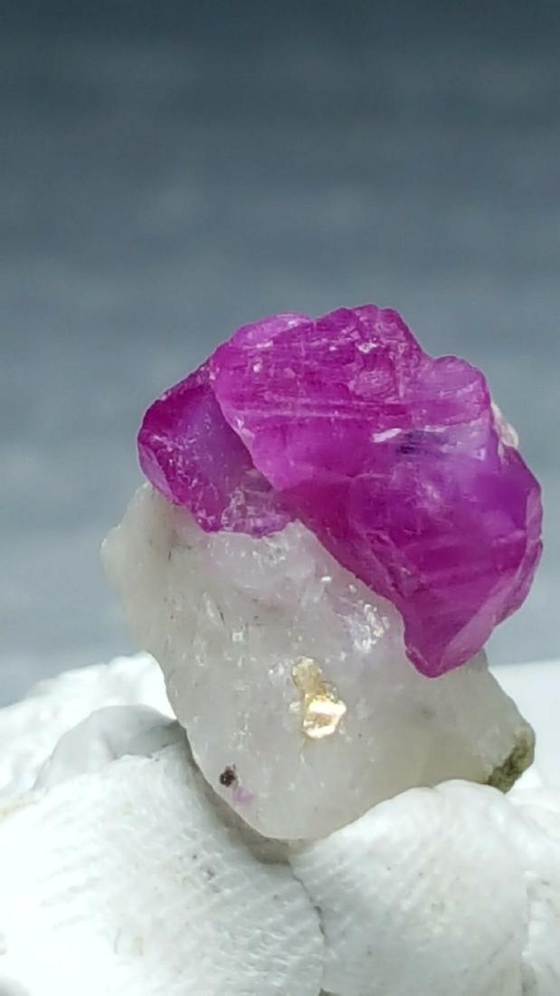 7 CARATS AMAZING NATURAL RUBY SPECIMEN (1 of 2)