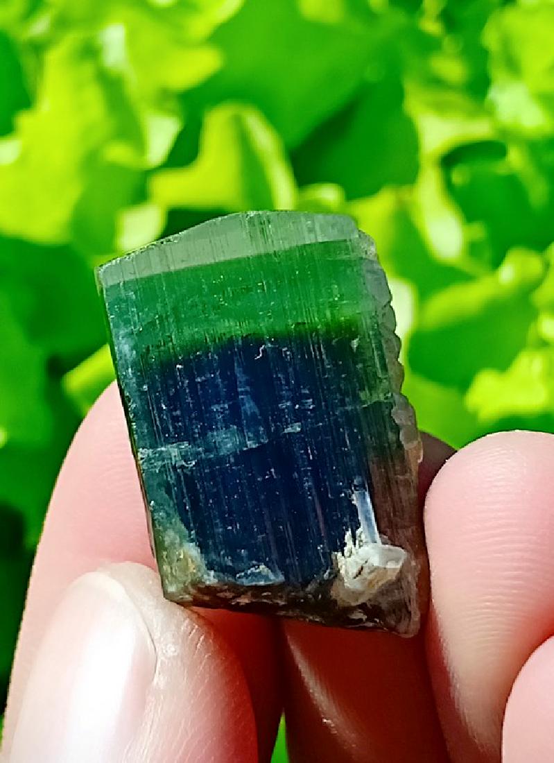 55 Carat Undamage Tri Colour Tourmaline Crystal (1 of 4)