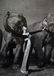 RICHARD AVEDON - Dovima and the Elephants, 1955