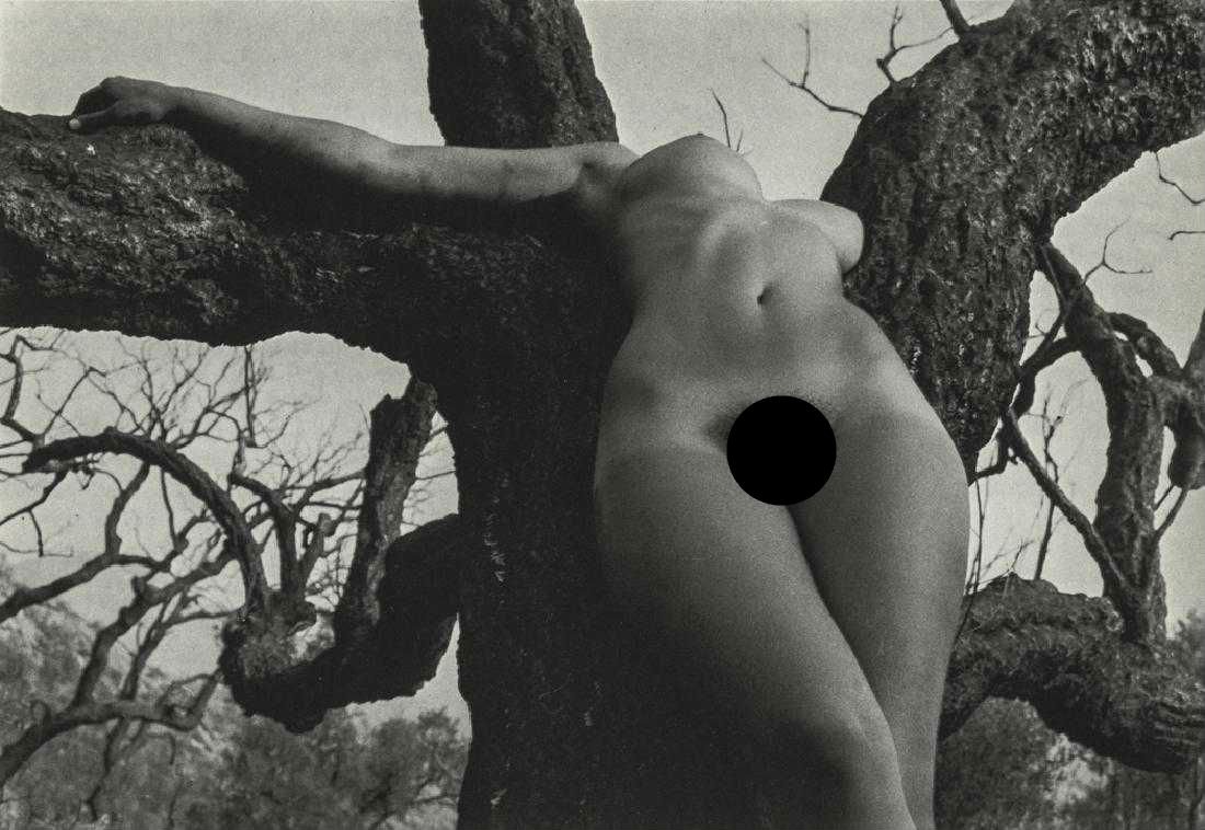 LUCIEN CLERGUE - Nu de la Foret, 1973 (1 of 2)