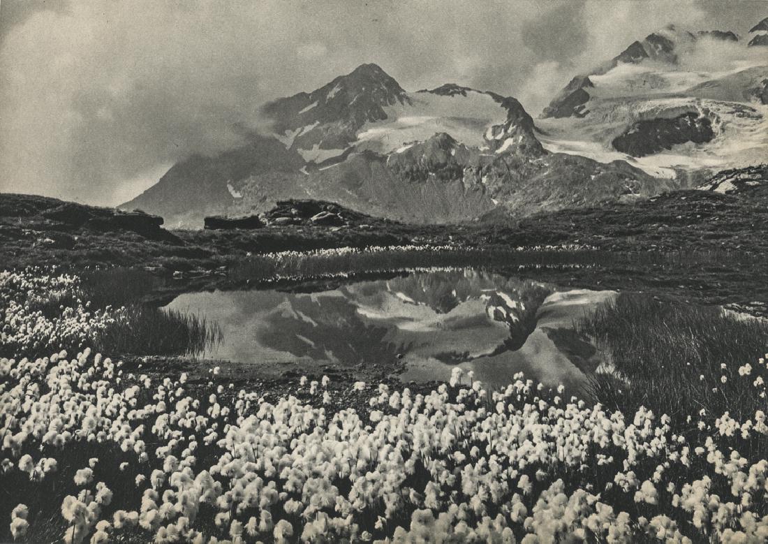 ANDRE STEINER - Paysage (1 of 1)