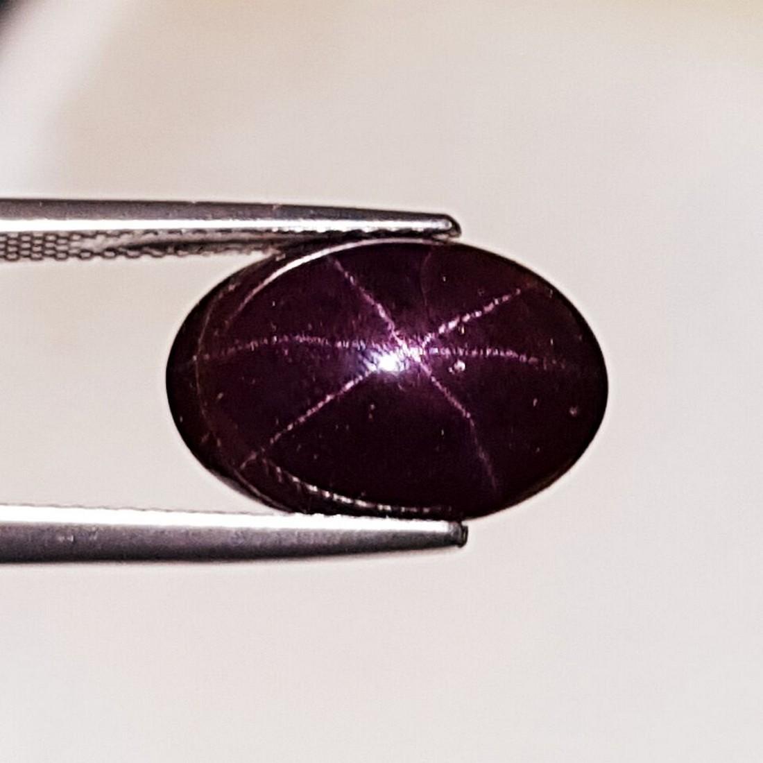 14.94 ct Top Quality Six Ray Star Garnet (1 of 4)